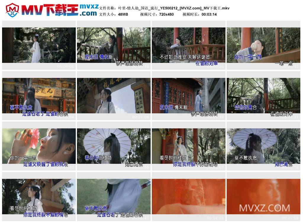 叶里-情人劫_国语_流行_YE500212